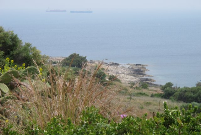 Point Izzo seen from close to battery AS362, possible site of Admiral Leonardi's heroic stand at Augusta